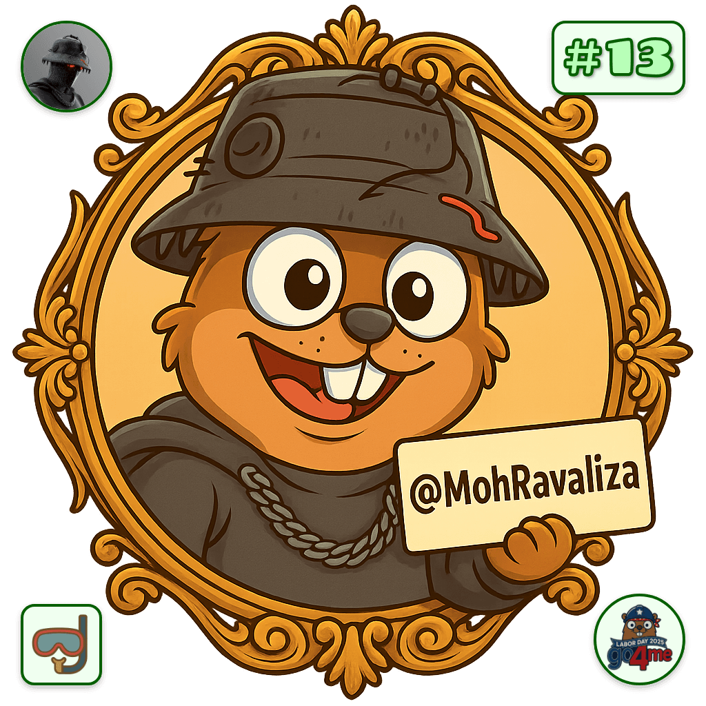 MohRavaliza avatar